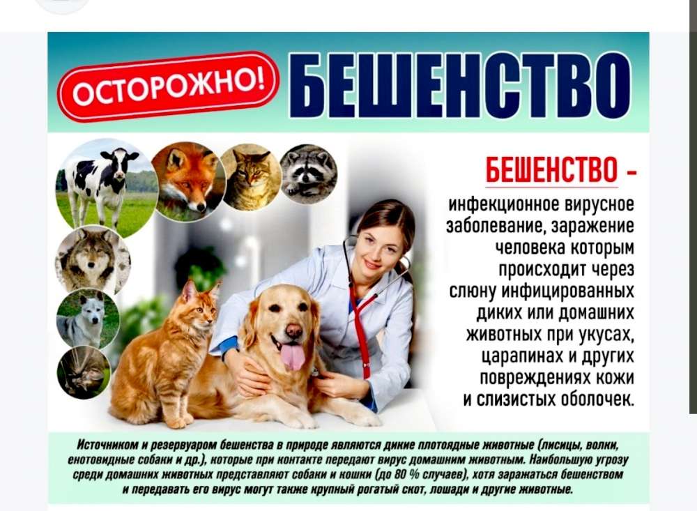 🔴 БЕШЕНСТВО — 100% СМЕРТЕЛЬНОЕ ЗАБОЛЕВАНИЕ! 🔴