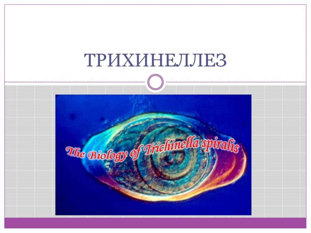 Внимание_трихинеллёз