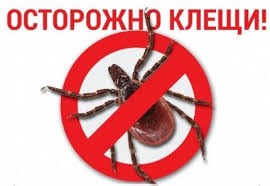 Осторожно клещи!!