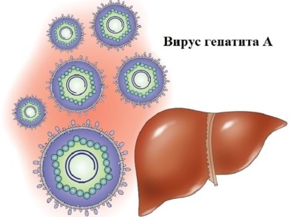 Что же такое гепатит А и как от него уберечься?