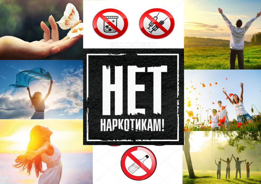 Печатная продукция